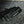 Running Belt