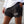Person wearing black shorts with motivational text, standing against a neutral background